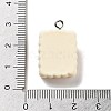 Cookies Theme Imitation Food Resin Pendants RESI-B021-02C-05-3