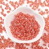 Glass Seed Beads SEED-A033-01B-01-4
