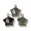 Natural Labradorite Pendants G-P540-01P-06-1