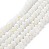 Electroplate Opaque Solid Color Glass Beads Strands LS-EGLA-A034-P10mm-L17-1