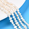 Natural Cultured Freshwater Pearl Beads Strands PEAR-N014-03C-1