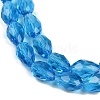 Transparent Glass Beads Strands EGLA-N013-T10mm-D17-3