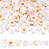  160Pcs 8 Styles Natural Freshwater Shell Beads Strands SHEL-TA0001-08-9