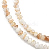 Natural Freshwater Shell Beads Strands SHEL-G013-03A-3