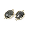 Natural Labradorite Faceted Connector Charms G-K347-11G-06-2