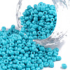 Baking Paint Glass Seed Beads SEED-S002-K10-1