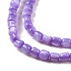 Natural Trochus Shell Beads Strands SSHEL-H070-02-6