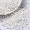 MIYUKI Round Rocailles Beads SEED-G008-RR0420-1