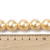 Electroplated Shell Pearl Beads Strands BSHE-G041-16mm-01-4
