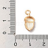Alloy Enamel Pendants ENAM-E064-25KCG-14-3