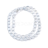 Transparent Electroplate Glass Bead Strands EGLA-P049-02A-PL02-2