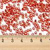 Glass Seed Beads SEED-S042-04A-10-4