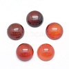 Natural Carnelian Cabochons G-P393-R18-10mm-1