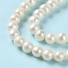 Natural Pearl Beads Strands PEAR-E018-75-4