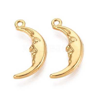 304 Stainless Steel Pendants STAS-N114-37G-1