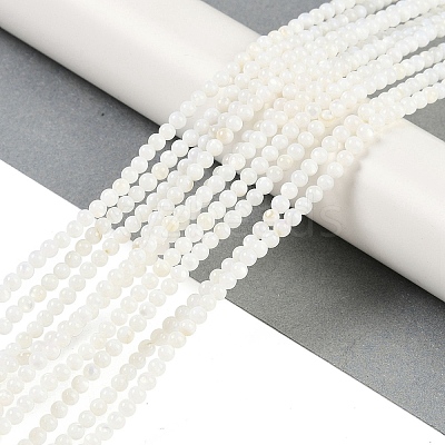 Natural Cultured Freshwater Shell Beads Strands X-BSHE-H109-03A-1