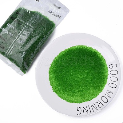 15/0 Transparent Czech Glass Seed Beads SEED-N004-004-09-1