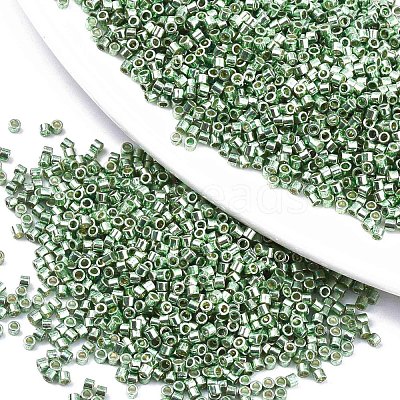 FGB 11/0 Grade A Glass Seed Beads X-SEED-S030-1217-1