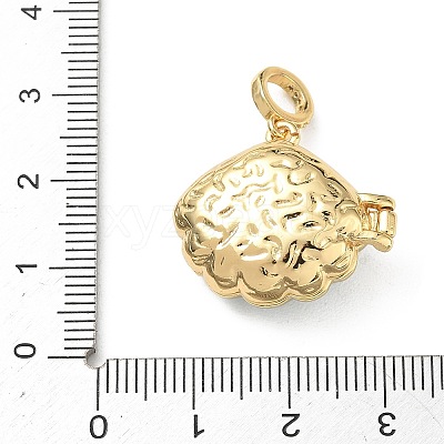 Brass Micro Pave Clear Cubic Zirconia Photo Locket Pendants KK-A303-15A-G-1