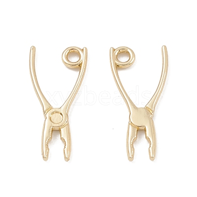 Alloy Pendants PALLOY-K003-09LG-1