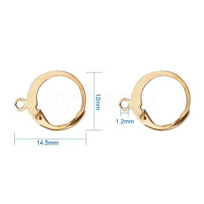304 Stainless Steel Leverback Earring Findings X-STAS-G081-62G-1