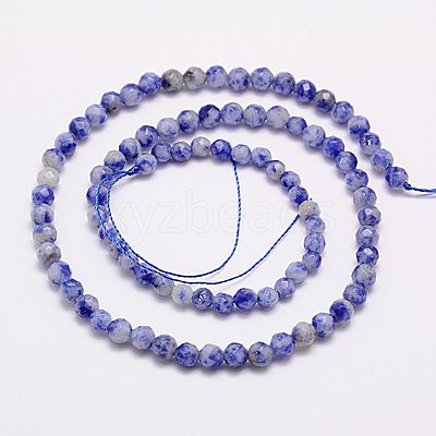 Natural Blue Spot Jasper Beads Strands G-G545-17-1