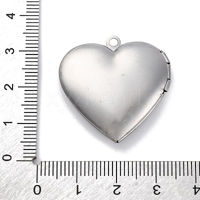 304 Stainless Steel Pendants STAS-S171-13P-06-1