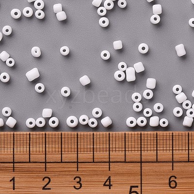 8/0 Glass Seed Beads SEED-US0003-3mm-41-1