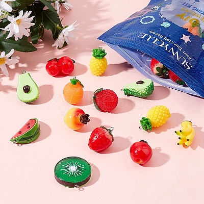 22Pcs 11 Style Resin Pendants RESI-SC0002-27-1