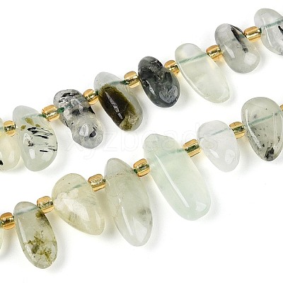 Natural Prehnite Beads Strands G-Z091-A44-1