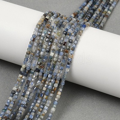 Natural Kyanite Beads Strands G-B088-E24-02-1