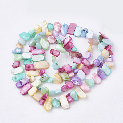 Freshwater Shell Beads Strands SHEL-S274-40L-1