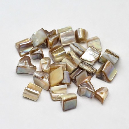 Dyed Natural Freshwater Shell Chip Beads SHEL-O001-28F-1