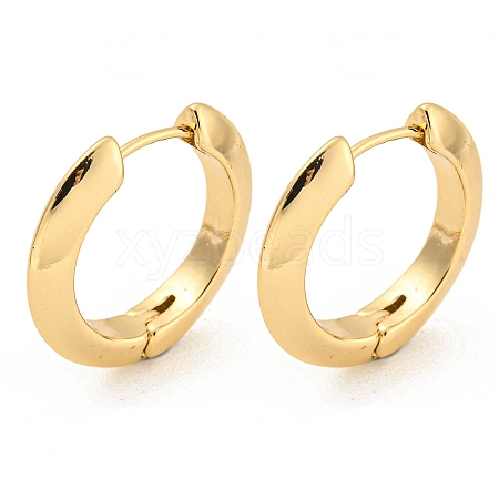 Alloy Hoop Earring EJEW-P269-17KCG-1