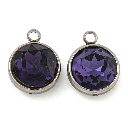 304 Stainless Steel Glass Rhinestone Charms STAS-E052-56A-1