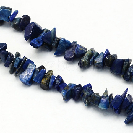 Dyed Natural Lapis Lazuli Stone Bead Strands G-R192-A08-1