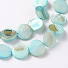 Natural Shell Beads Strands X-PBB251Y-8-3