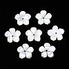 Natural White Shell Beads SSHEL-S260-025-2