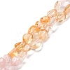 Natural Rose Quartz & Citrine Beads Strands G-L610-B10-01-1