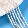 Natural Cultured Freshwater Pearl Beads Strands PEAR-N014-03G-01-2