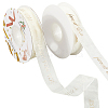 2 Rolls 2 Styles Chiffon Lace Trim for Sewing Decoration OCOR-CY0001-65B-1