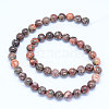 Natural Leopard Skin Jasper Beads Strands G-J358-05-6mm-3