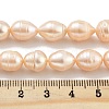 Natural Cultured Freshwater Pearl Beads Strands PEAR-P062-13B-5