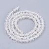 Natural Rainbow Moonstone Beads Strands G-R475-030-2