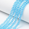 Glass Beads Strands EGLA-A034-T10mm-D08-1