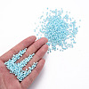 8/0 Opaque Glass Seed Beads X1-SEED-S048-N-012-5