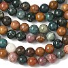 Natural Ocean Jasper Beads Strands X-G-F668-26-6mm-2