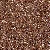 MIYUKI Delica Beads SEED-MY11-DB1241-3