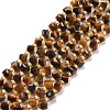 Natural Tiger Eye Beads Strands G-P463-39-1