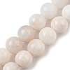 Natural Rainbow Moonstone Beads Strands G-N328-024-10mm-AB-4